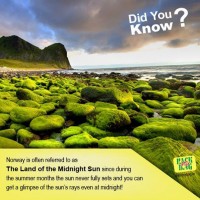 Did You Know ?